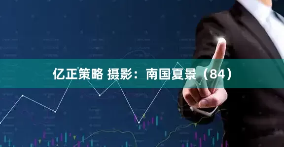 亿正策略 摄影：南国夏景（84）