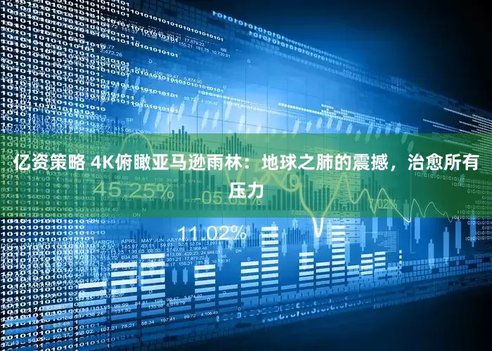 亿资策略 4K俯瞰亚马逊雨林：地球之肺的震撼，治愈所有压力