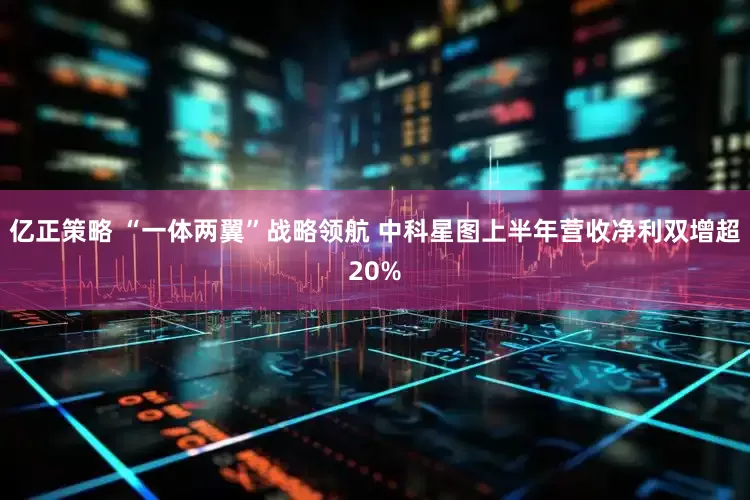 亿正策略 “一体两翼”战略领航 中科星图上半年营收净利双增超20%